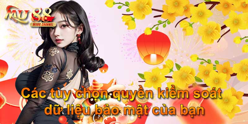 Các tùy chọn quyền kiểm soát dữ liệu bảo mật của bạn