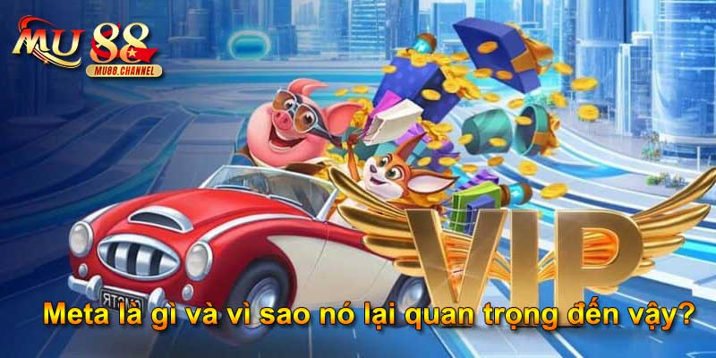 Meta là gì và vì sao nó lại quan trọng đến vậy?