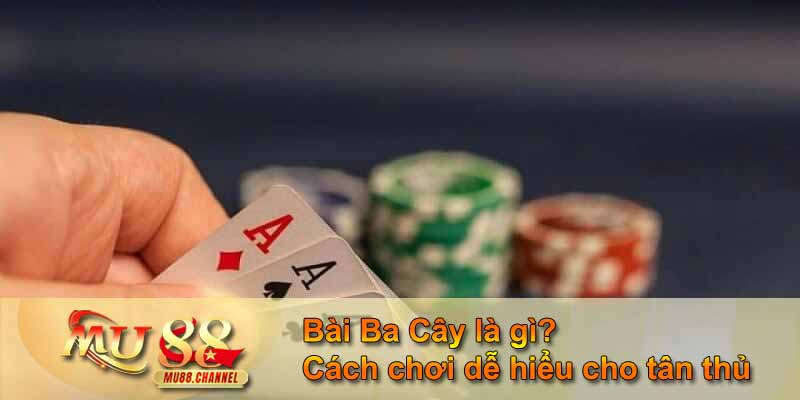 Bài Ba Cây là gì? Cách chơi dễ hiểu cho tân thủ