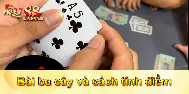 Bài ba cây và cách tính điểm