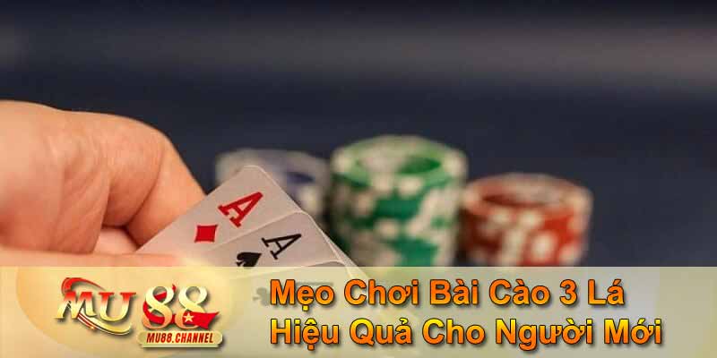Mẹo chơi bài cào 3 lá hiệu quả cho người mới